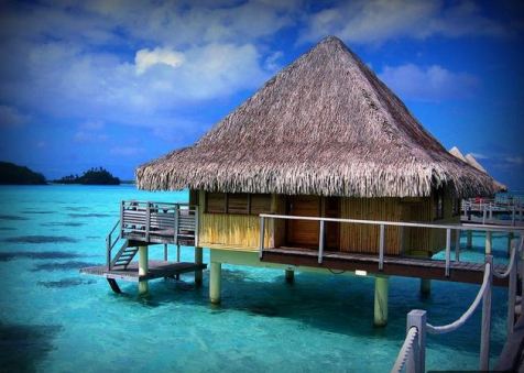 ������ ���� ���� ��������� �������